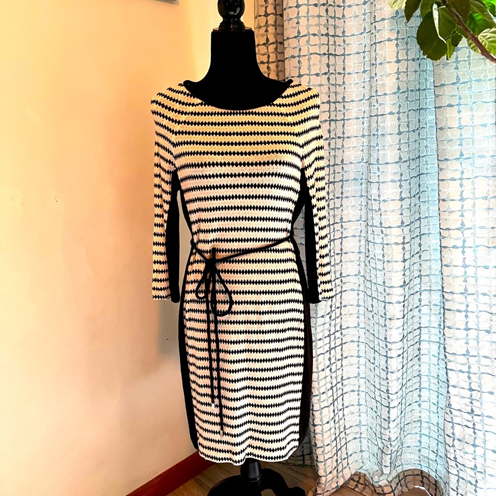 Fitted Knit Pattern Dress